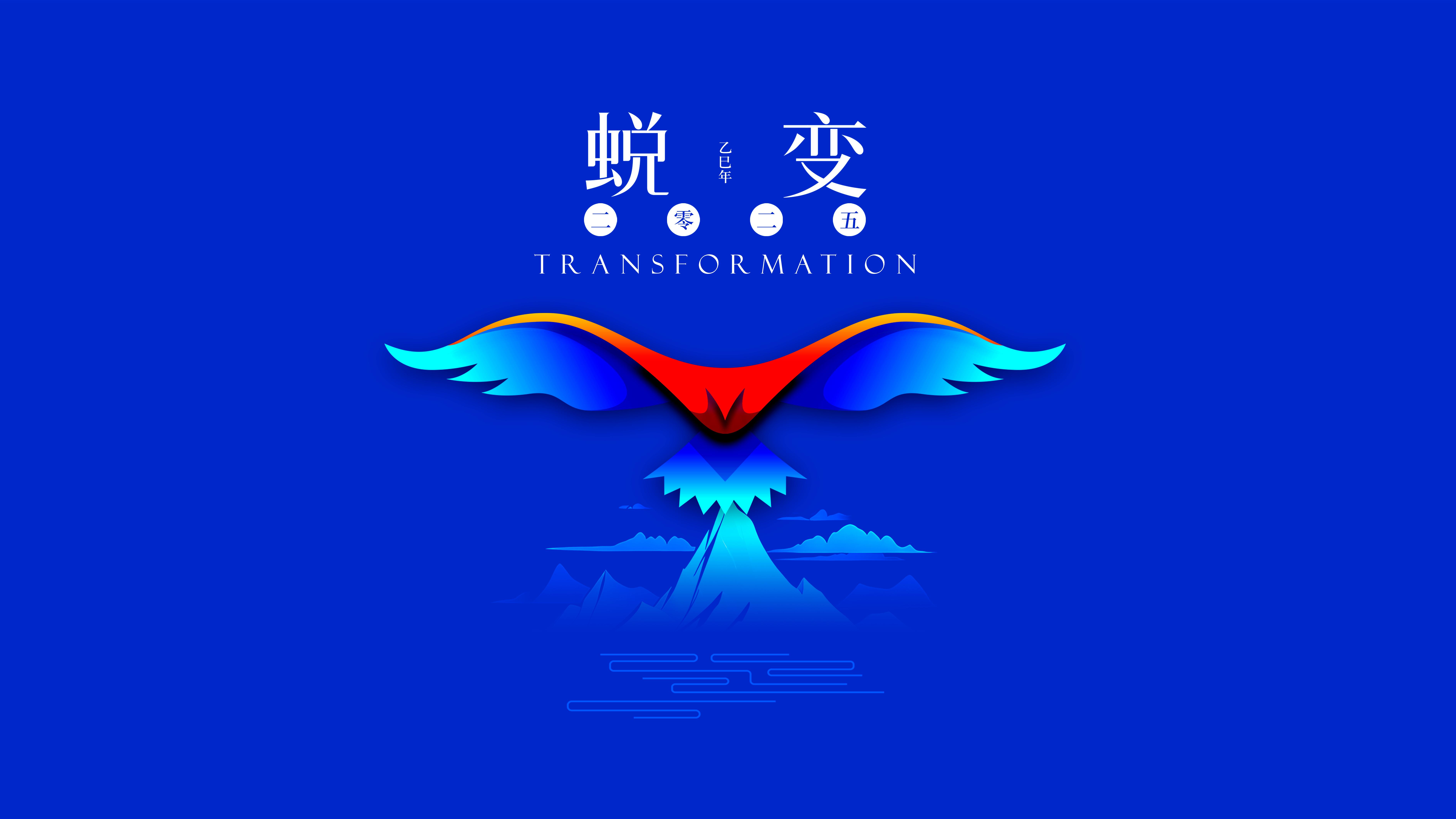 我與海星的2024，期待2025年與您一起續(xù)寫美好篇章